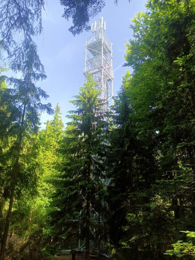 Apartment Kopretina Cerne Udoli