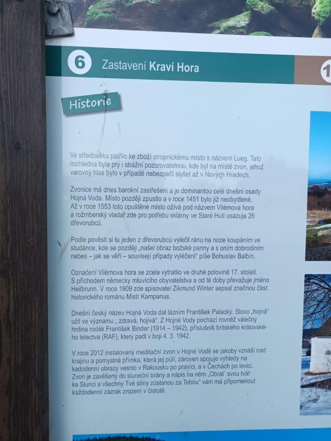 Kopretina * Cerne Udoli