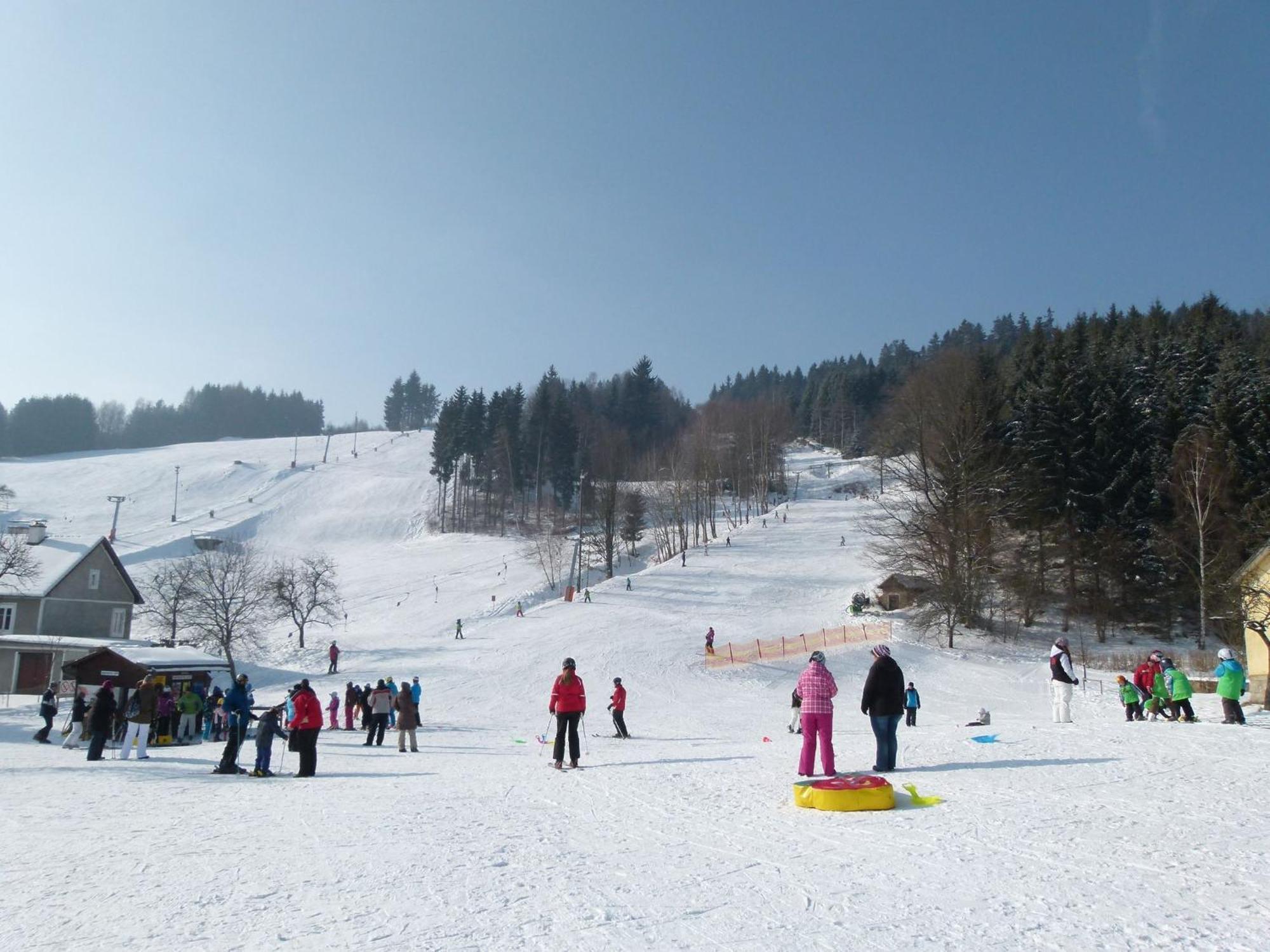 Kopretina * Cerne Udoli